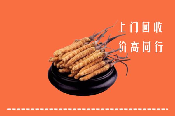 高价求购：玉树州曲麻莱县回收散虫草