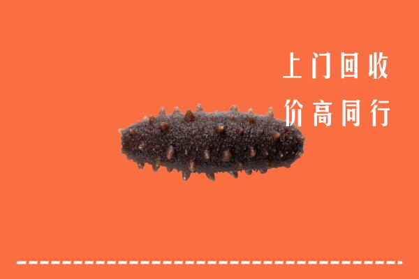 高价求购：玉树州曲麻莱县回收海参